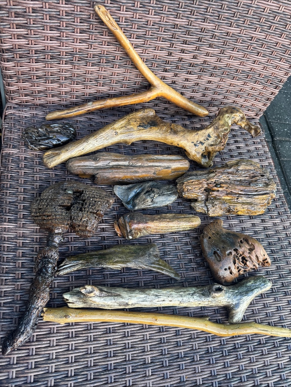 Shellacked 12 pieces Natural Driftwood Decor or Accent, craft, diy, coastal